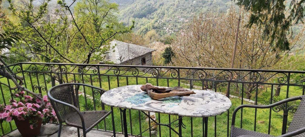 Thalassoxyla Mouressi Mouresi Bagian luar foto